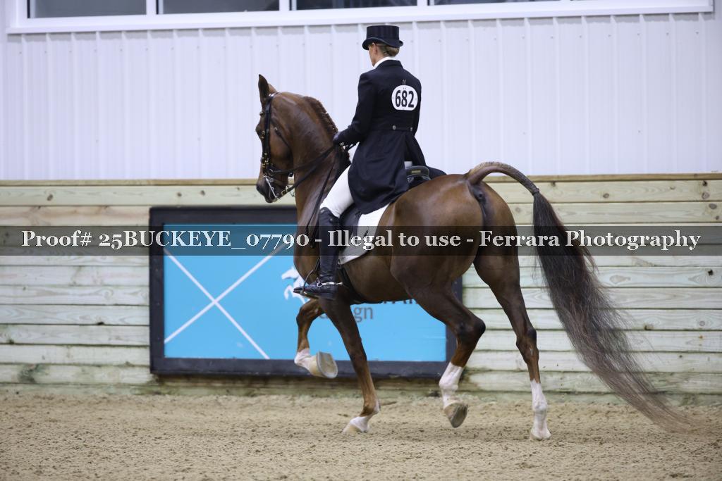 Proof 25BUCKEYE_07790