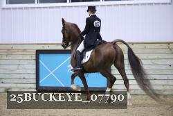 25BUCKEYE_07790 proof