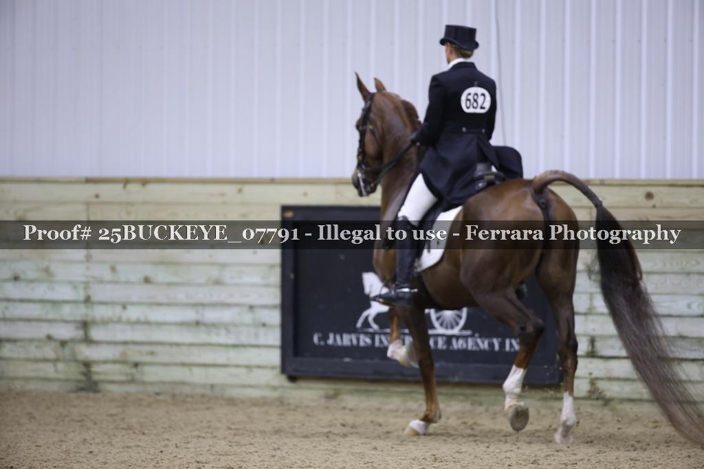 Proof 25BUCKEYE_07791