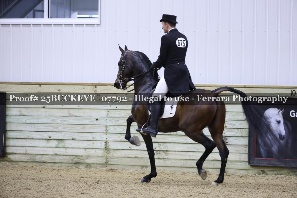 Proof 25BUCKEYE_07792