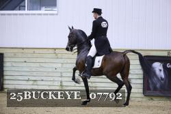 25BUCKEYE_07792 proof
