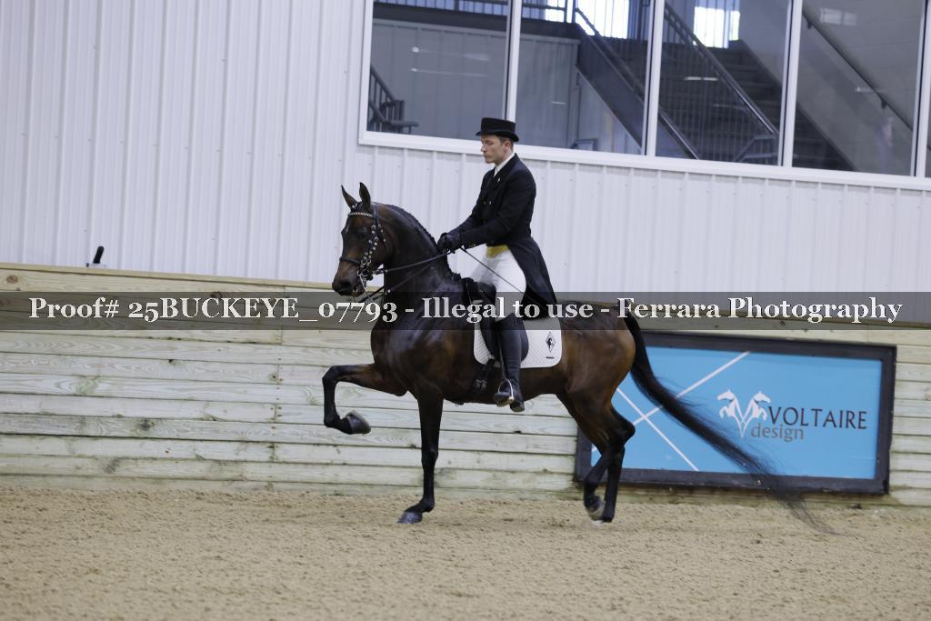 Proof 25BUCKEYE_07793