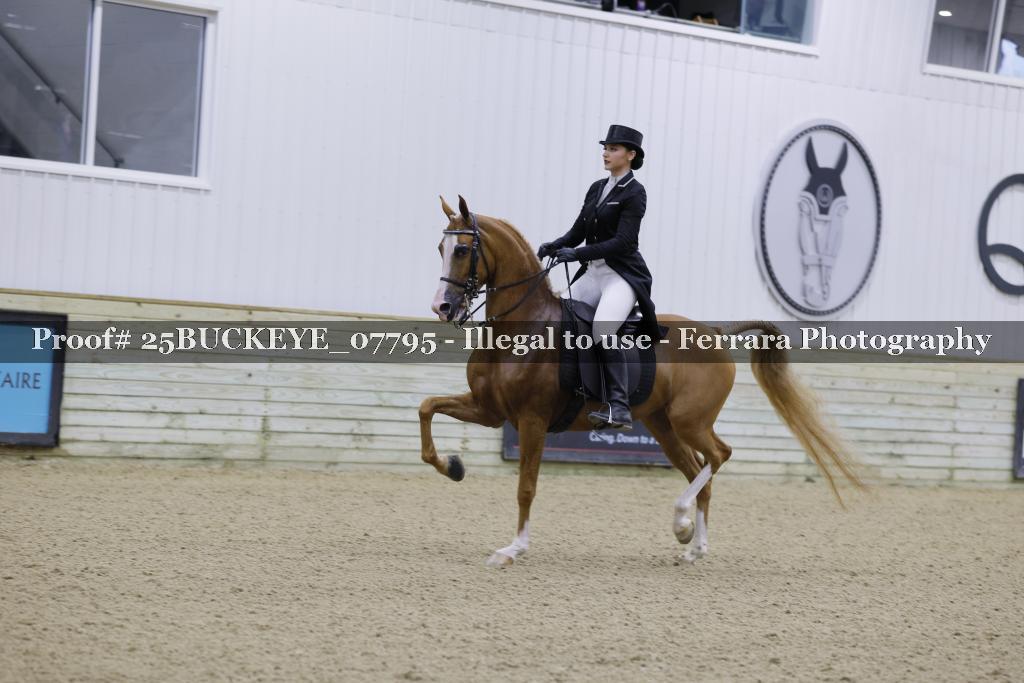 Proof 25BUCKEYE_07795