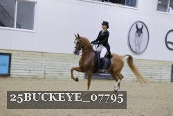 25BUCKEYE_07795 proof