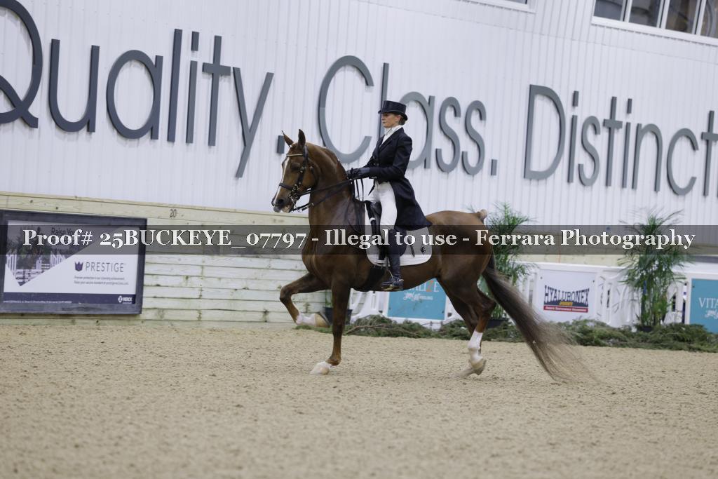 Proof 25BUCKEYE_07797