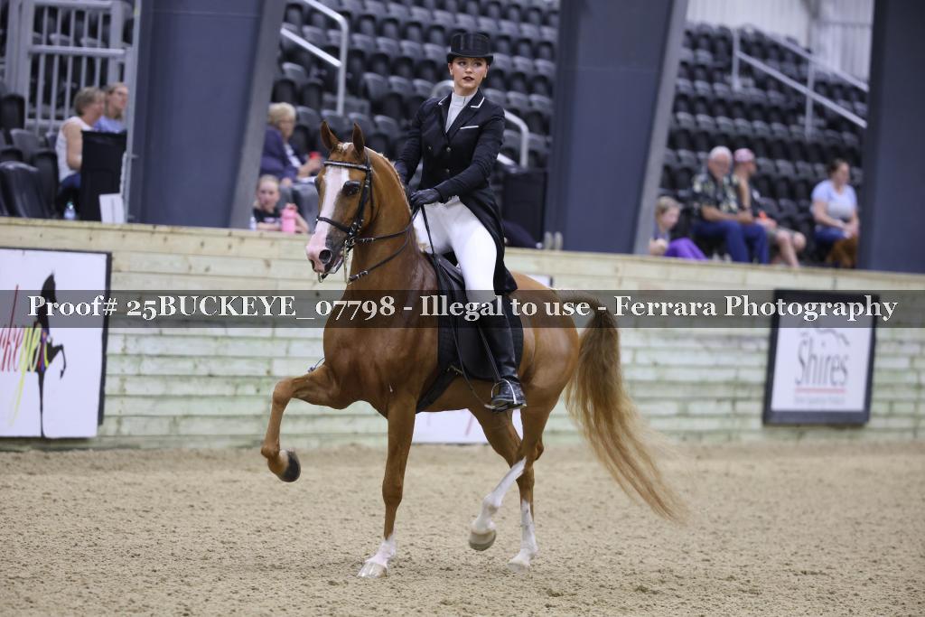Proof 25BUCKEYE_07798