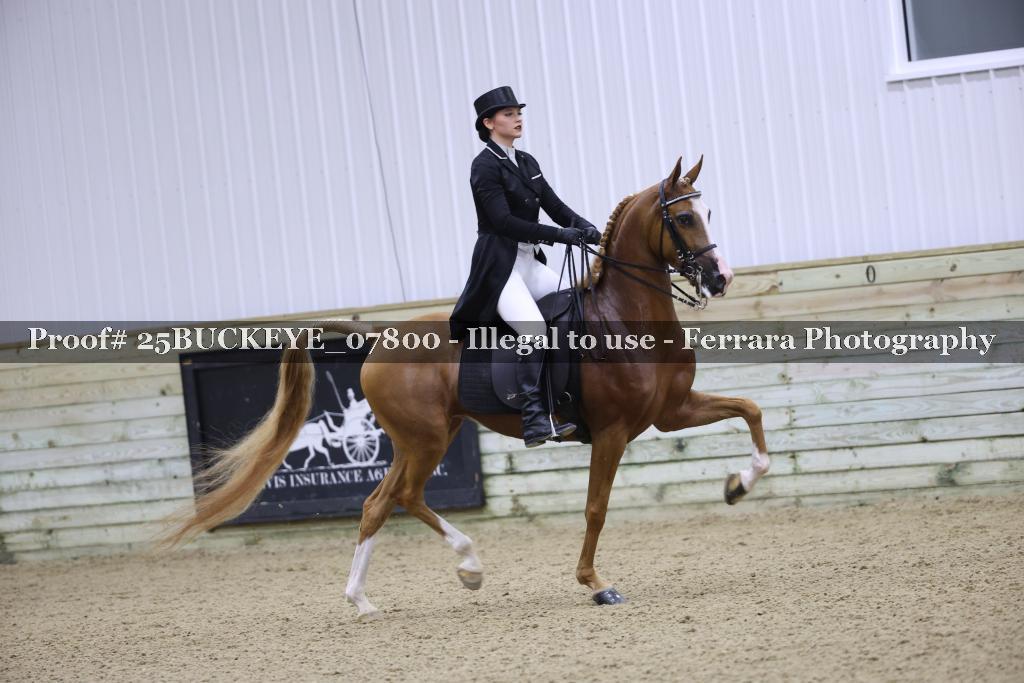 Proof 25BUCKEYE_07800