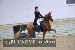 25BUCKEYE_07800 proof