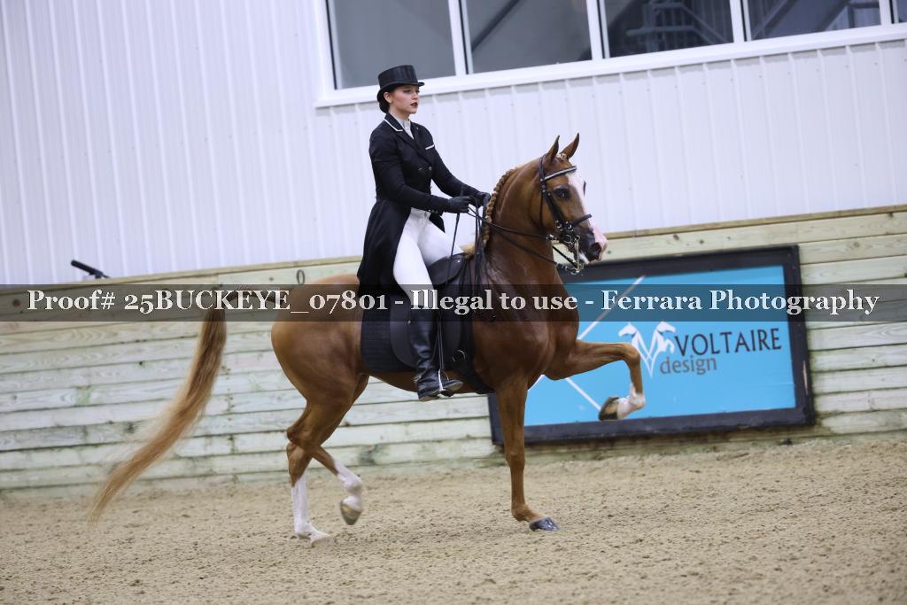 Proof 25BUCKEYE_07801
