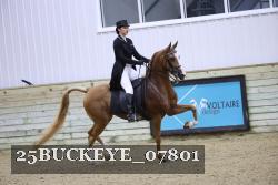 25BUCKEYE_07801 proof