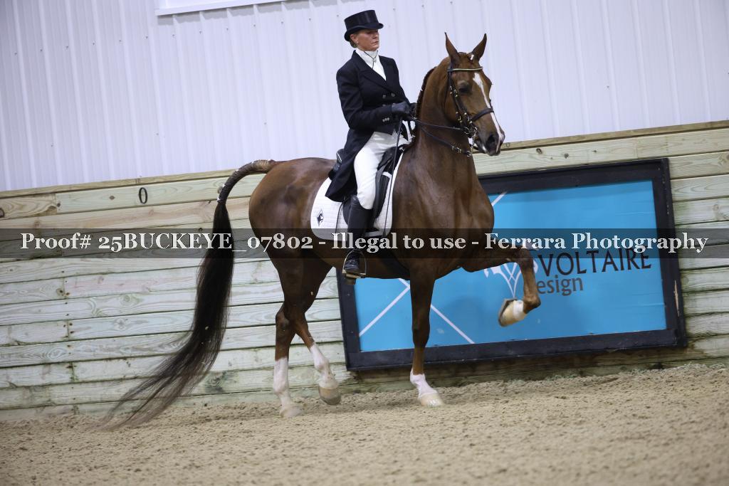 Proof 25BUCKEYE_07802