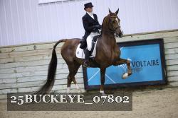 25BUCKEYE_07802 proof
