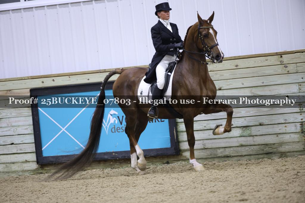 Proof 25BUCKEYE_07803