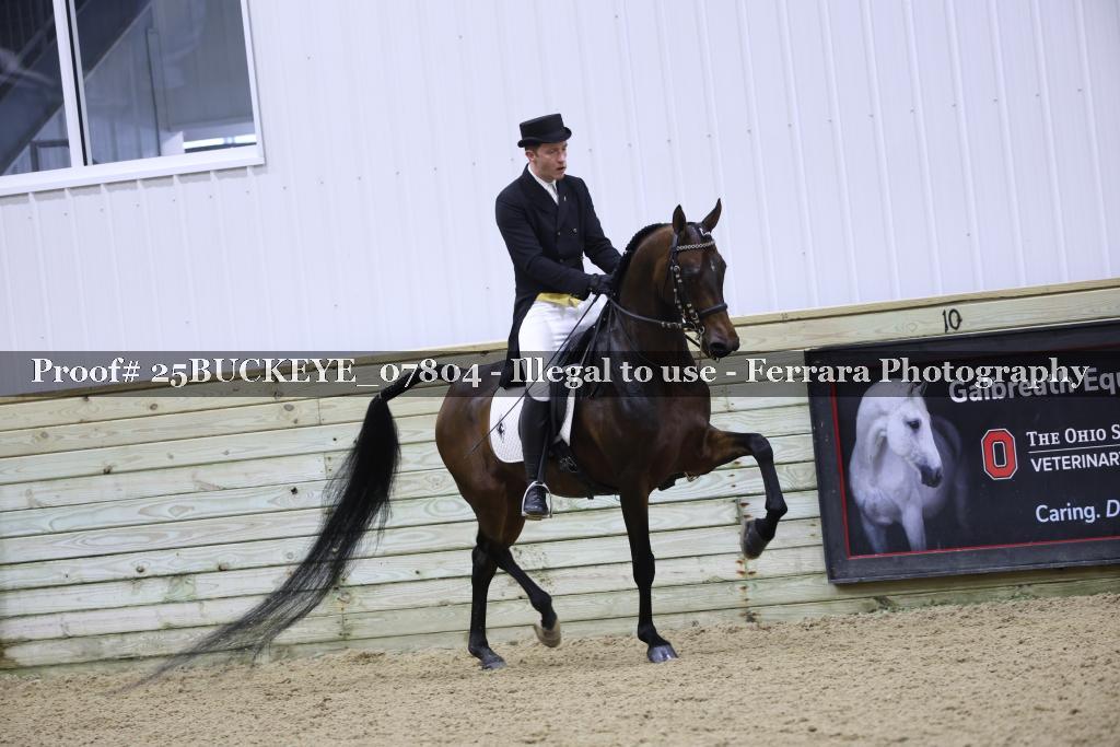 Proof 25BUCKEYE_07804