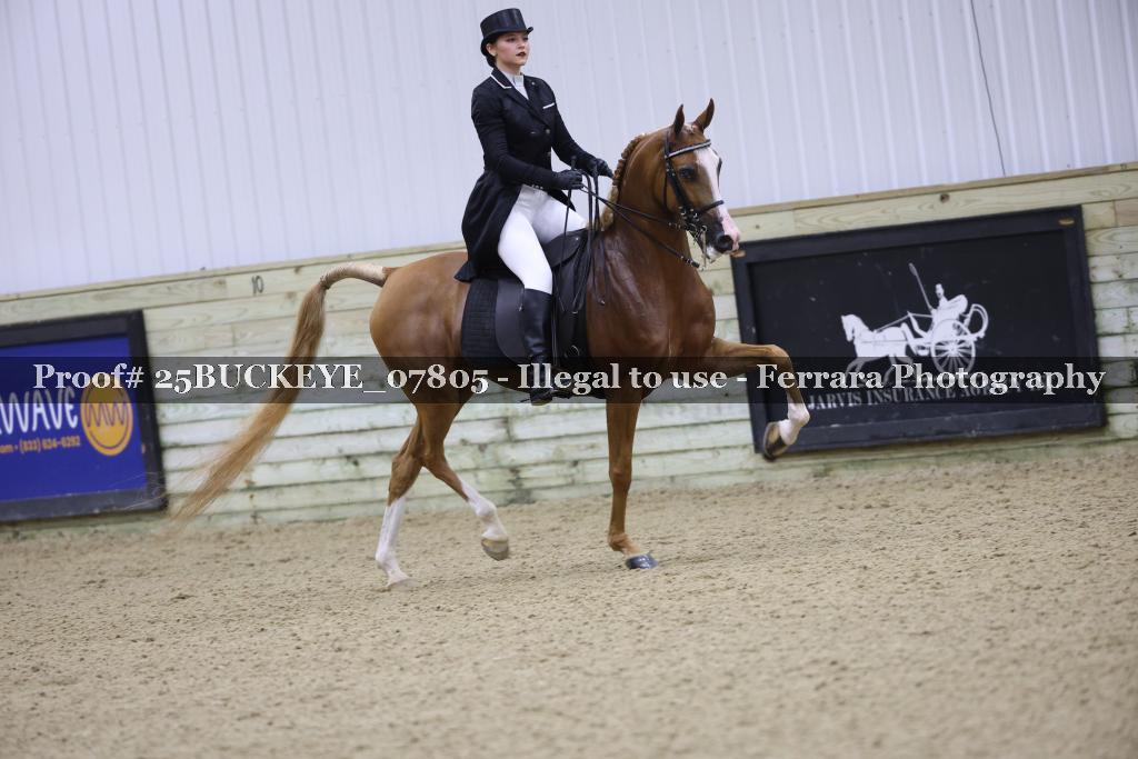 Proof 25BUCKEYE_07805