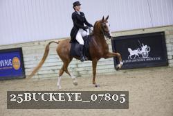 25BUCKEYE_07805 proof