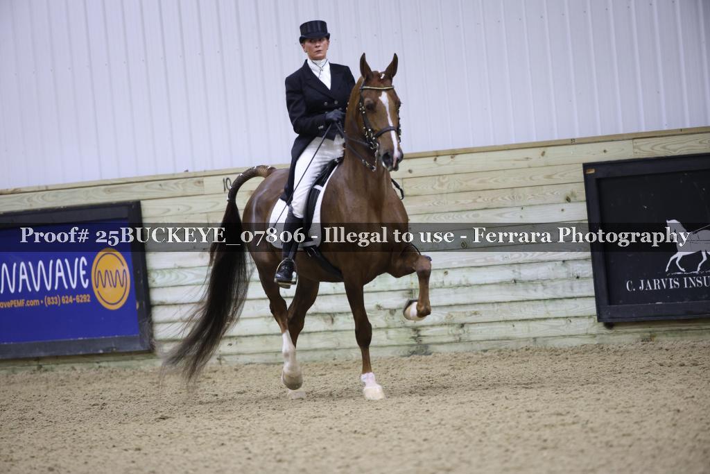 Proof 25BUCKEYE_07806