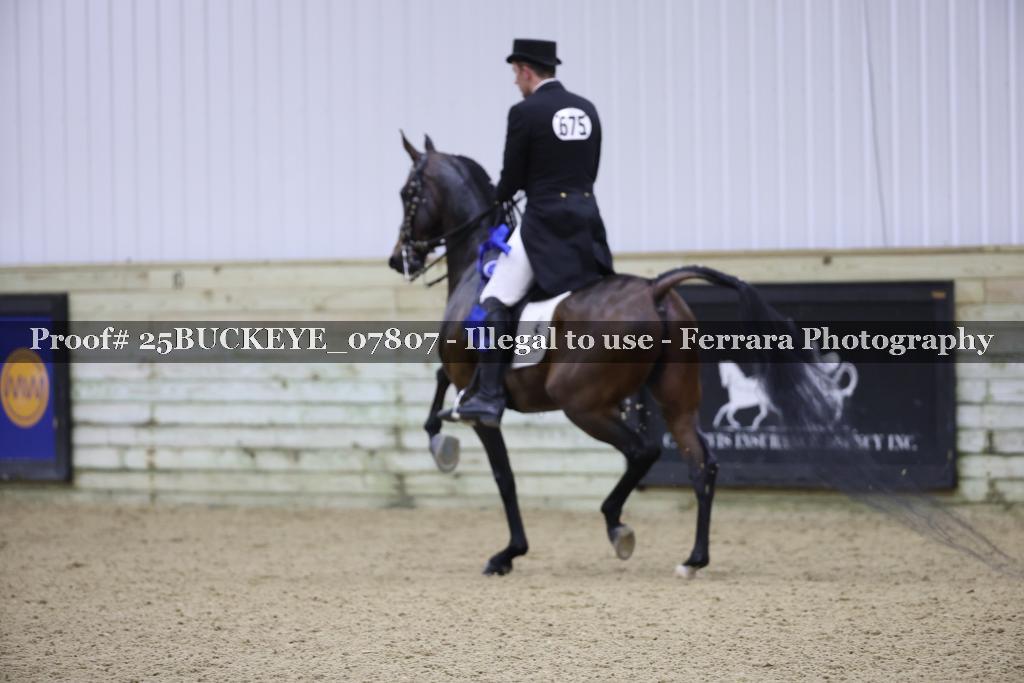 Proof 25BUCKEYE_07807