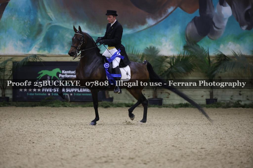Proof 25BUCKEYE_07808