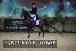 25BUCKEYE_07808 proof