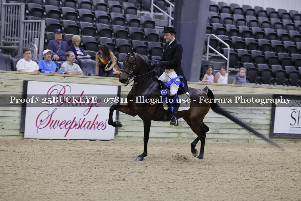 Proof 25BUCKEYE_07811