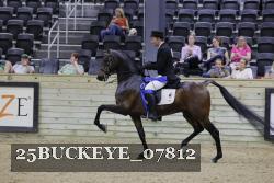 25BUCKEYE_07812 proof