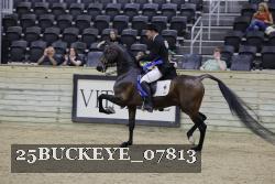 25BUCKEYE_07813 proof