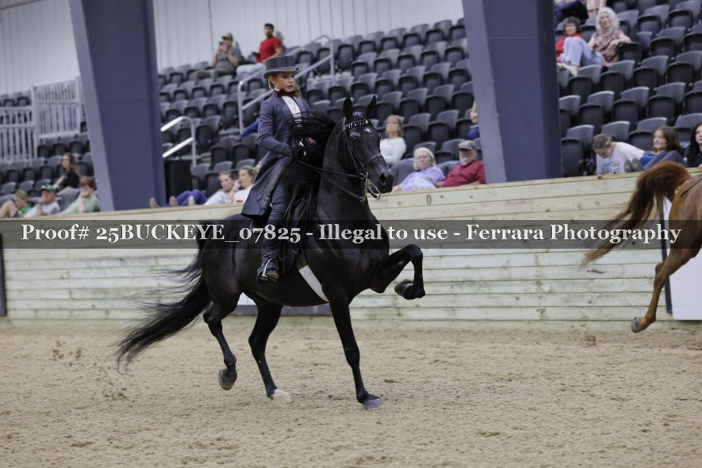 Proof 25BUCKEYE_07825