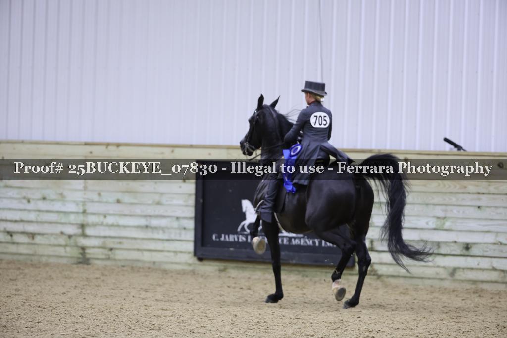 Proof 25BUCKEYE_07830