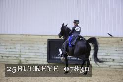 25BUCKEYE_07830 proof