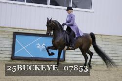 25BUCKEYE_07853 proof