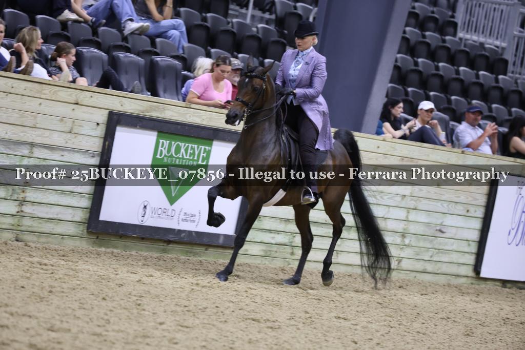 Proof 25BUCKEYE_07856