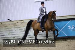 25BUCKEYE_07862 proof