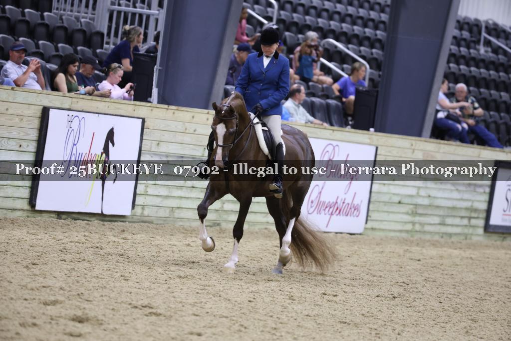 Proof 25BUCKEYE_07902