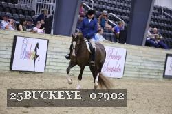 25BUCKEYE_07902 proof
