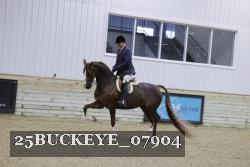 25BUCKEYE_07904 proof