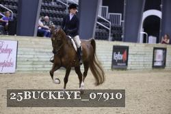 25BUCKEYE_07910 proof