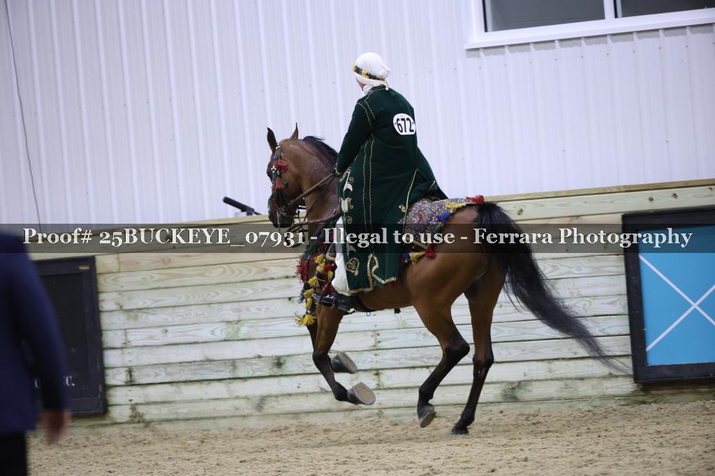 Proof 25BUCKEYE_07931