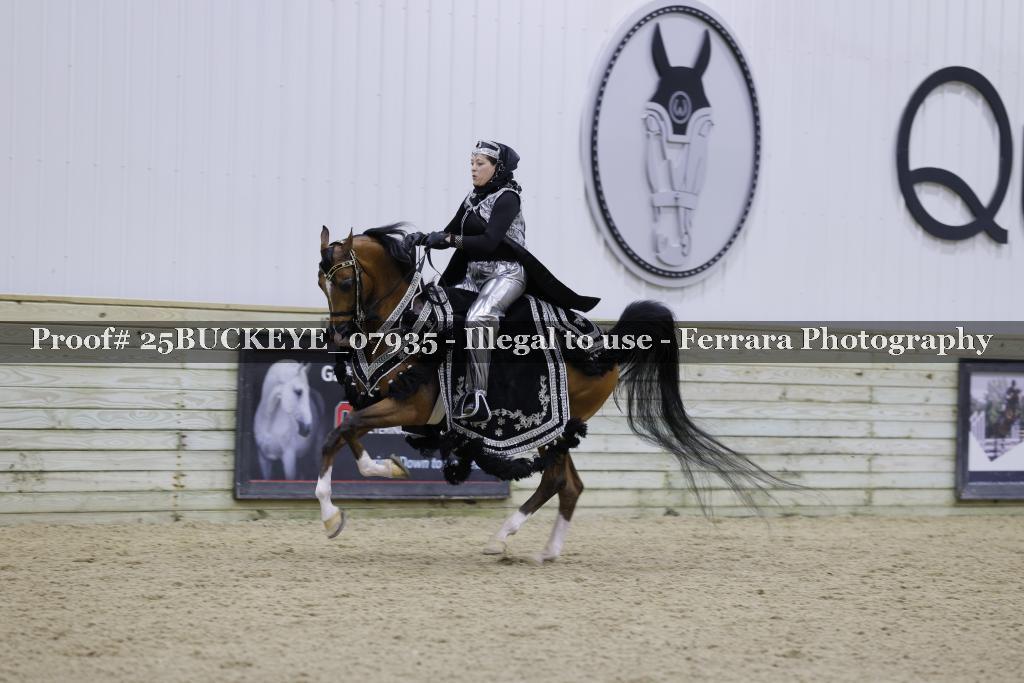Proof 25BUCKEYE_07935