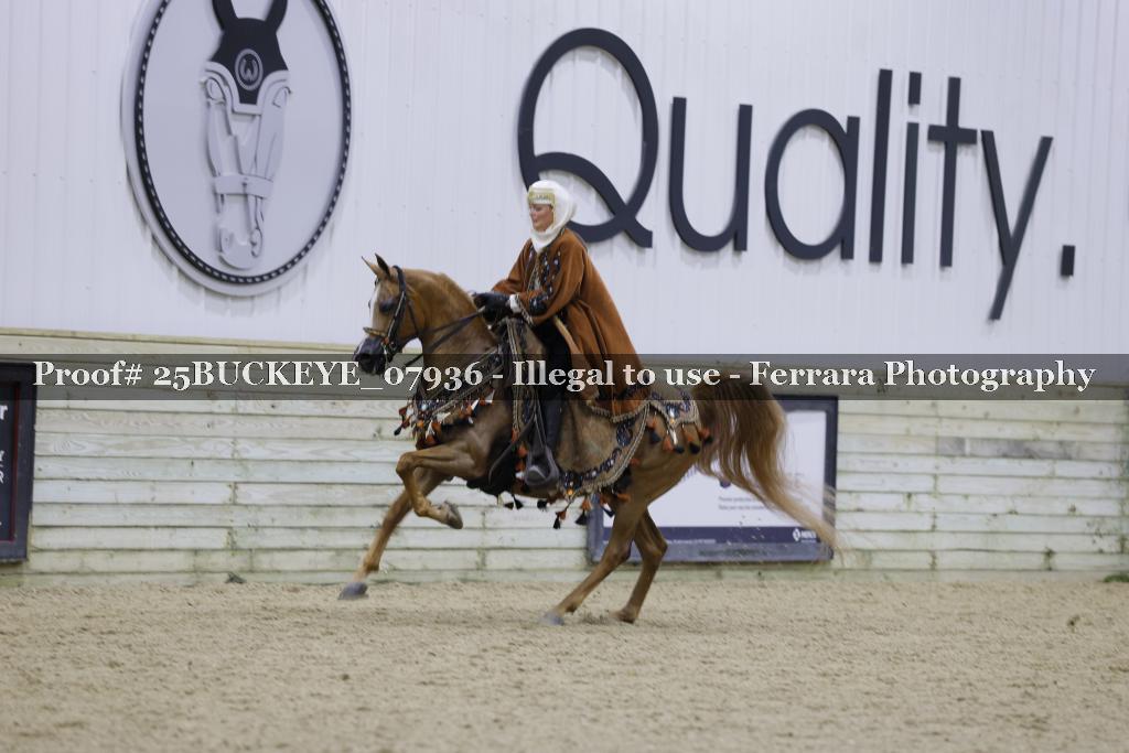 Proof 25BUCKEYE_07936