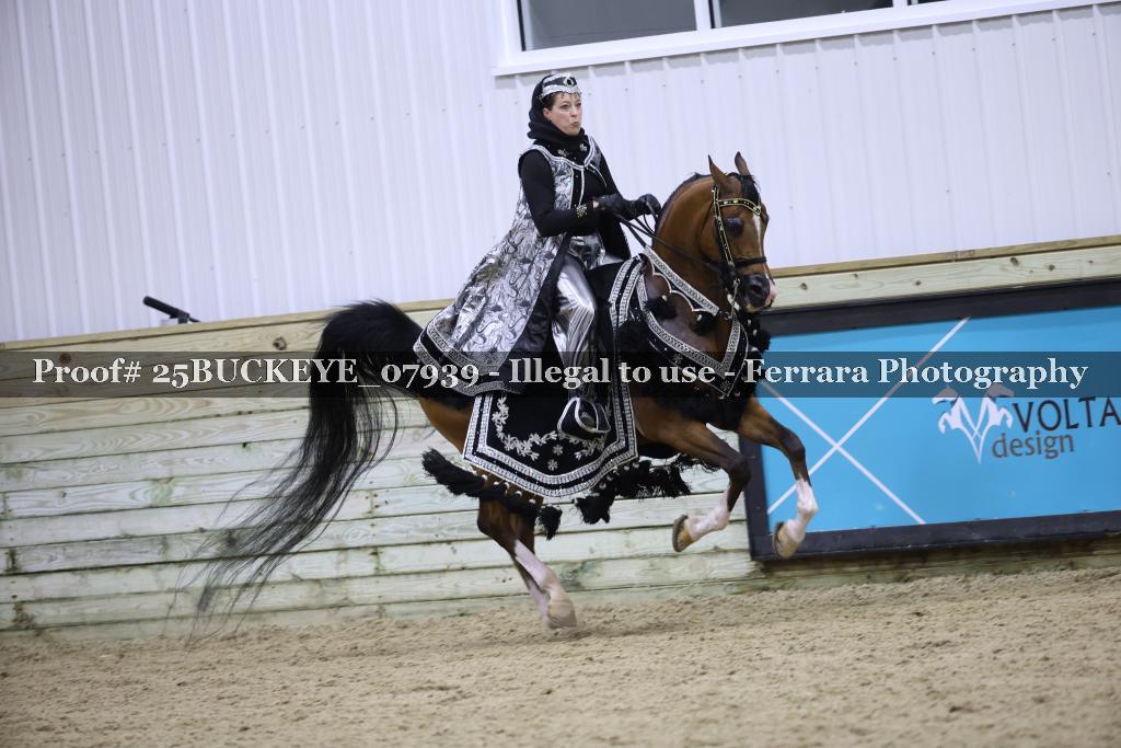 Proof 25BUCKEYE_07939