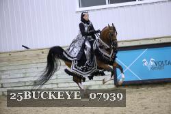 25BUCKEYE_07939 proof