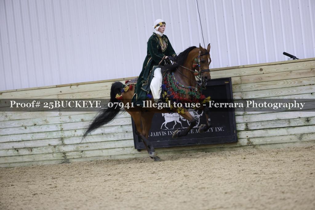 Proof 25BUCKEYE_07941