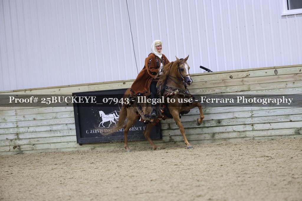 Proof 25BUCKEYE_07943
