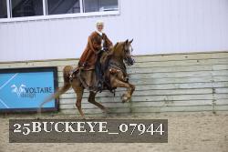25BUCKEYE_07944 proof