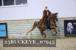25BUCKEYE_07945 proof
