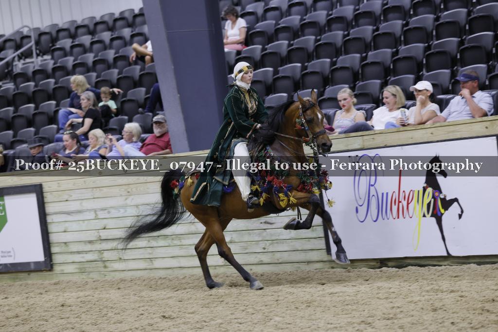Proof 25BUCKEYE_07947