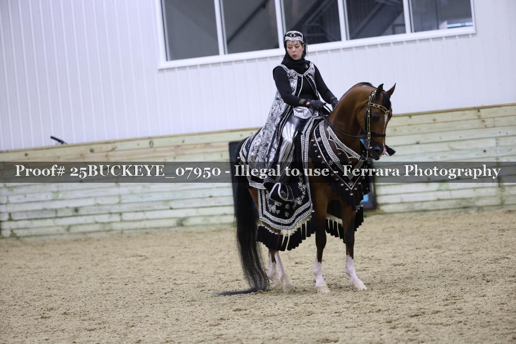 Proof 25BUCKEYE_07950