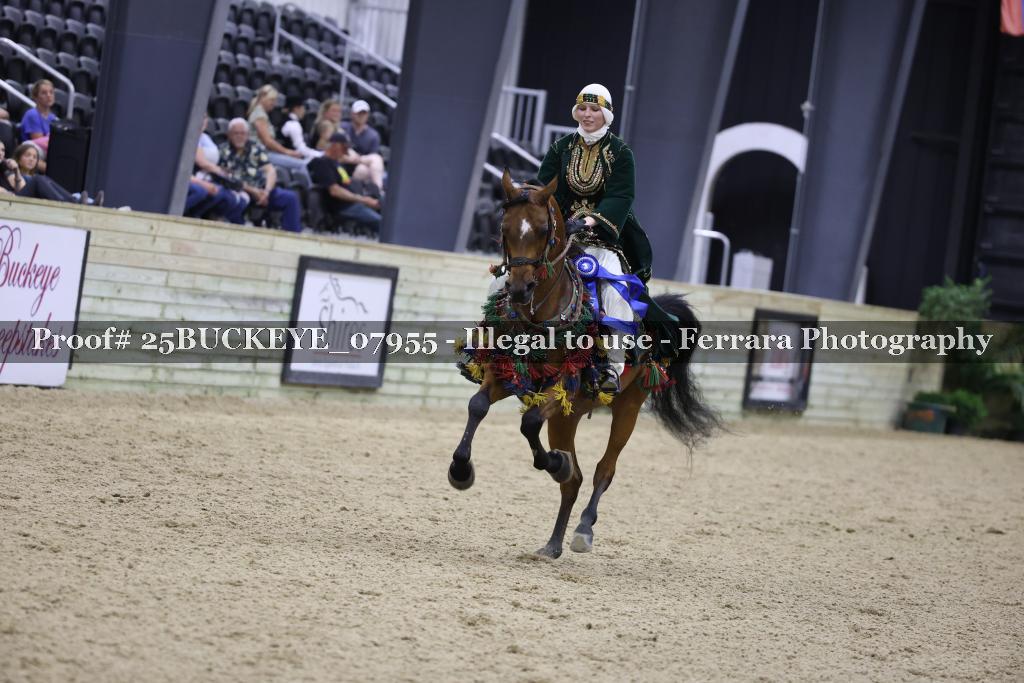 Proof 25BUCKEYE_07955