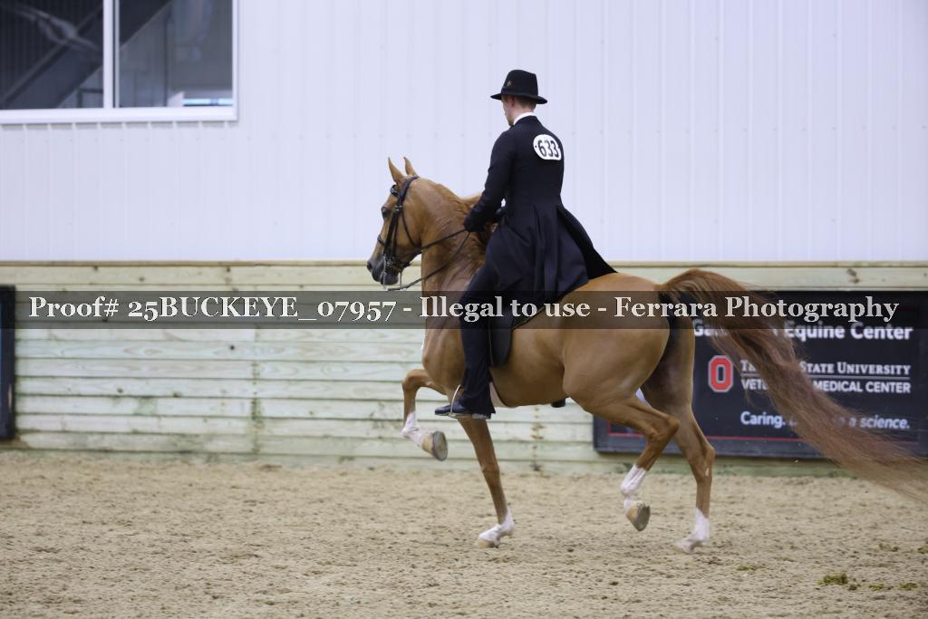 Proof 25BUCKEYE_07957